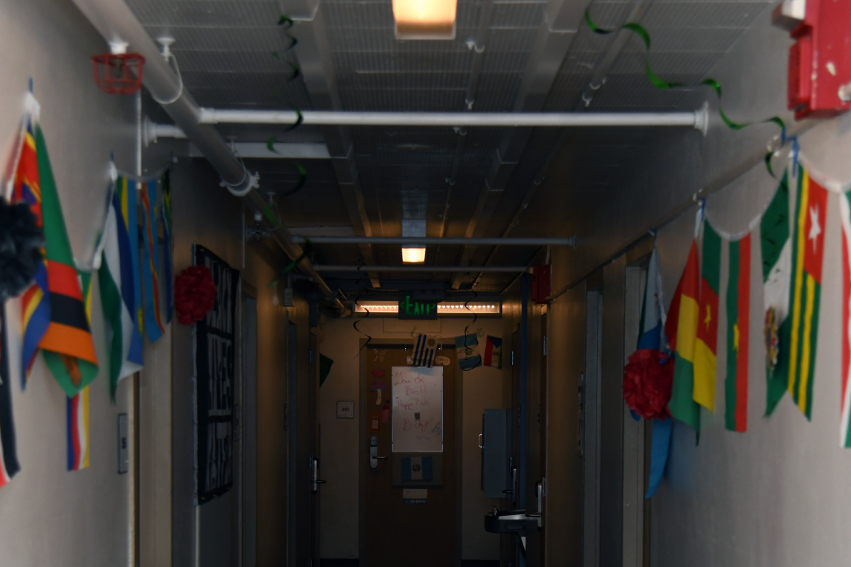 International flags in hallway